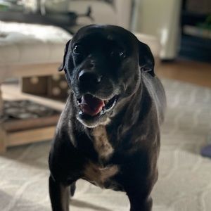 Meet your Posher, Sierra